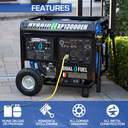 DuroMax XP13000EH 10500W/13000W Electric Start Dual Fuel Generator New